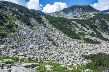 Amazing Summer view of Pirin Mountain around Banderitsa River, Bulgaria