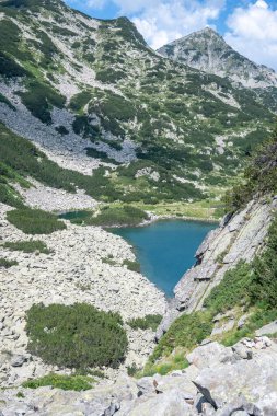 Amazing Summer view of Pirin Mountain around Banderitsa River, Bulgaria clipart