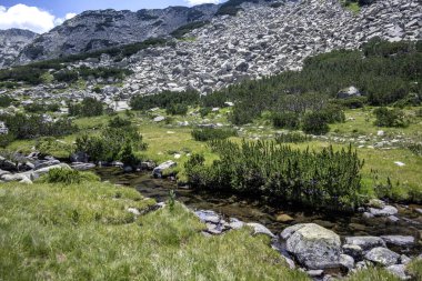 Amazing Summer view of Pirin Mountain around Banderitsa River, Bulgaria