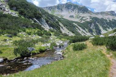 Amazing Summer view of Pirin Mountain around Banderitsa River, Bulgaria