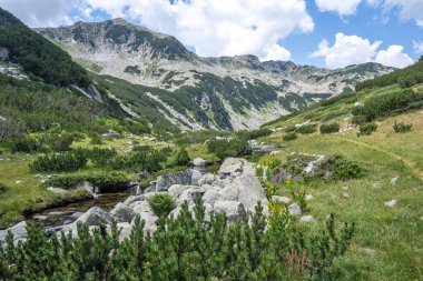 Amazing Summer view of Pirin Mountain around Banderitsa River, Bulgaria