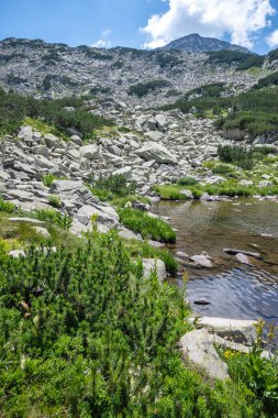 Amazing Summer view of Pirin Mountain around Banderitsa River, Bulgaria