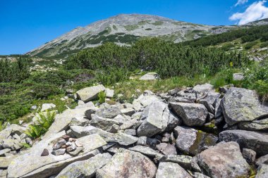 Amazing Summer view of Pirin Mountain around Banderitsa River, Bulgaria