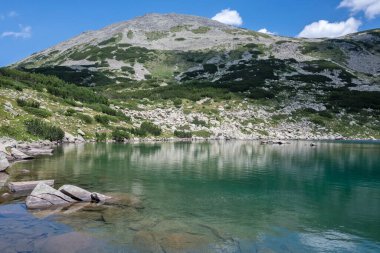 Amazing Summer view of Pirin Mountain around Banderitsa River, Bulgaria