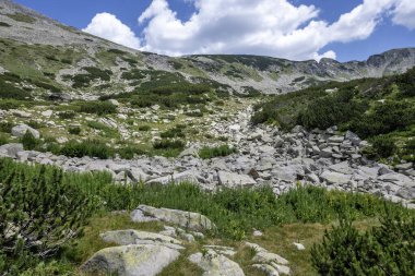 Amazing Summer view of Pirin Mountain around Banderitsa River, Bulgaria