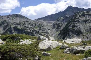 Amazing Summer view of Pirin Mountain around Banderitsa River, Bulgaria