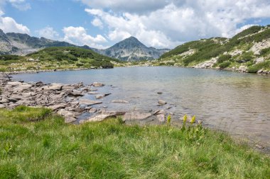 Amazing Summer view of Pirin Mountain around Banderitsa River, Bulgaria