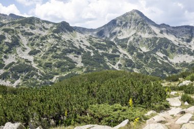 Amazing Summer view of Pirin Mountain around Banderitsa River, Bulgaria