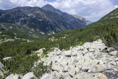 Amazing Summer view of Pirin Mountain around Banderitsa River, Bulgaria