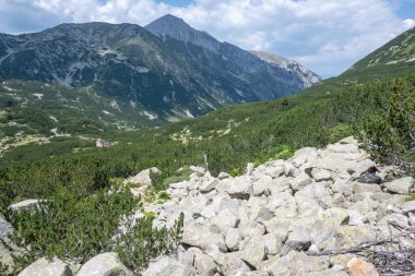 Amazing Summer view of Pirin Mountain around Banderitsa River, Bulgaria clipart