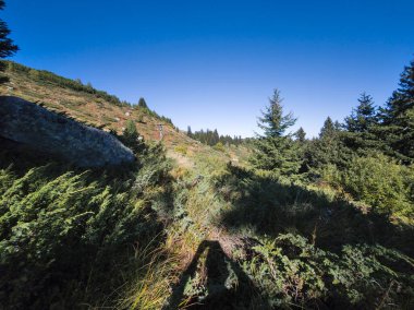 Bulgaristan 'ın Vitosha Dağı' nın şaşırtıcı sonbahar manzarası