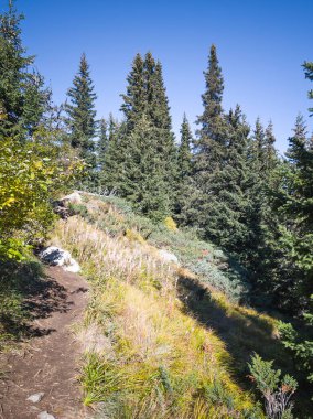 Bulgaristan 'ın Vitosha Dağı' nın şaşırtıcı sonbahar manzarası