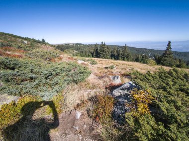 Bulgaristan 'ın Vitosha Dağı' nın şaşırtıcı sonbahar manzarası