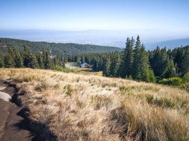 Bulgaristan 'ın Vitosha Dağı' nın şaşırtıcı sonbahar manzarası