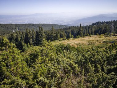 Bulgaristan 'ın Vitosha Dağı' nın şaşırtıcı sonbahar manzarası