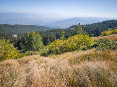 Bulgaristan 'ın Vitosha Dağı' nın şaşırtıcı sonbahar manzarası