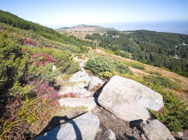 Bulgaristan 'ın Vitosha Dağı' nın şaşırtıcı sonbahar manzarası