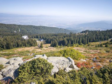 Bulgaristan 'ın Vitosha Dağı' nın şaşırtıcı sonbahar manzarası