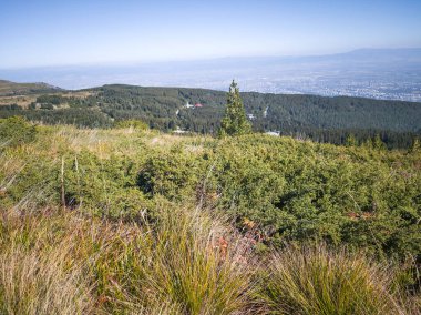 Amazing Autumn Panorama of Vitosha Mountain, Bulgaria clipart