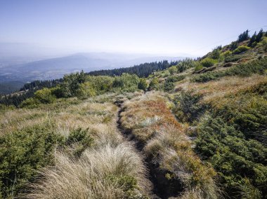 Bulgaristan 'ın Vitosha Dağı' nın şaşırtıcı sonbahar manzarası
