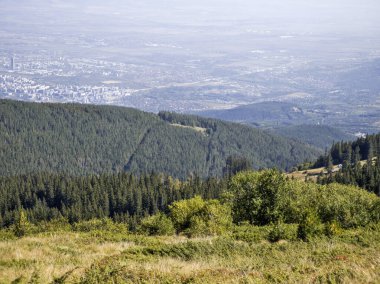 Bulgaristan 'ın Vitosha Dağı' nın şaşırtıcı sonbahar manzarası