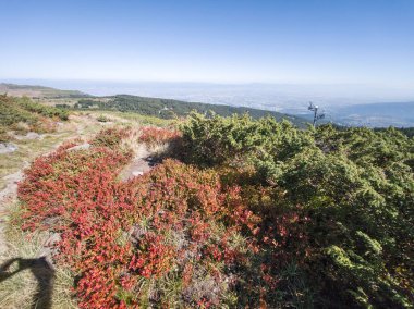 Bulgaristan 'ın Vitosha Dağı' nın şaşırtıcı sonbahar manzarası