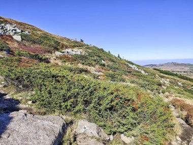 Bulgaristan 'ın Vitosha Dağı' nın şaşırtıcı sonbahar manzarası