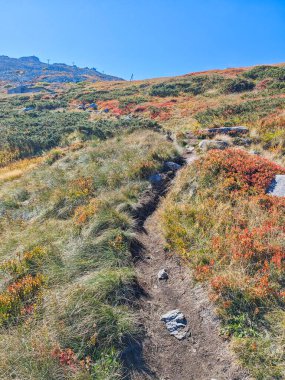 Bulgaristan 'ın Vitosha Dağı' nın şaşırtıcı sonbahar manzarası