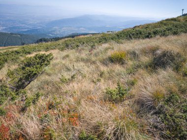 Bulgaristan 'ın Vitosha Dağı' nın şaşırtıcı sonbahar manzarası