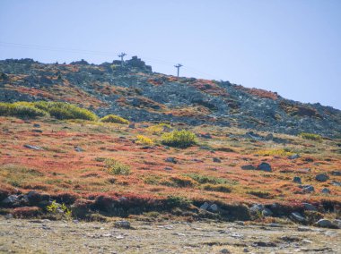 Bulgaristan 'ın Vitosha Dağı' nın şaşırtıcı sonbahar manzarası