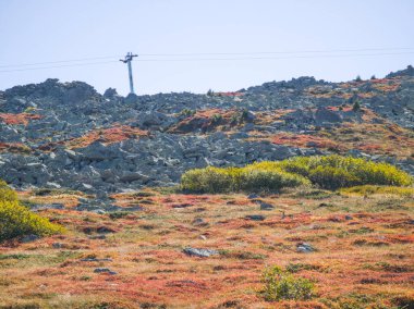Bulgaristan 'ın Vitosha Dağı' nın şaşırtıcı sonbahar manzarası