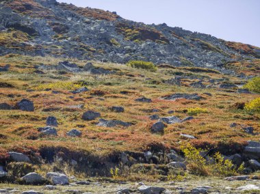 Bulgaristan 'ın Vitosha Dağı' nın şaşırtıcı sonbahar manzarası