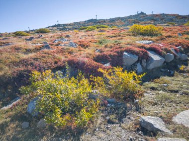 Bulgaristan 'ın Vitosha Dağı' nın şaşırtıcı sonbahar manzarası