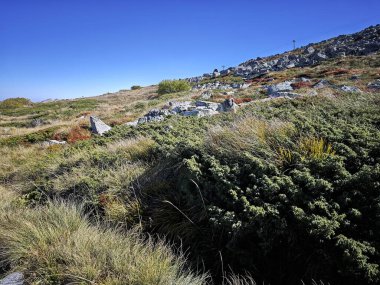 Bulgaristan 'ın Vitosha Dağı' nın şaşırtıcı sonbahar manzarası