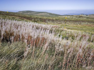 Bulgaristan 'ın Vitosha Dağı' nın şaşırtıcı sonbahar manzarası