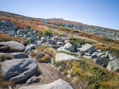 Bulgaristan 'ın Vitosha Dağı' nın şaşırtıcı sonbahar manzarası