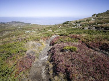Bulgaristan 'ın Vitosha Dağı' nın şaşırtıcı sonbahar manzarası