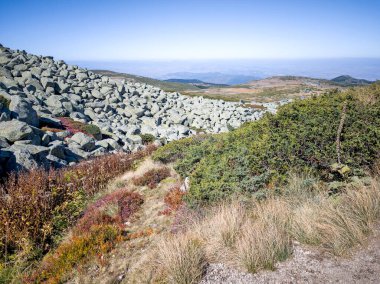 Bulgaristan 'ın Vitosha Dağı' nın şaşırtıcı sonbahar manzarası