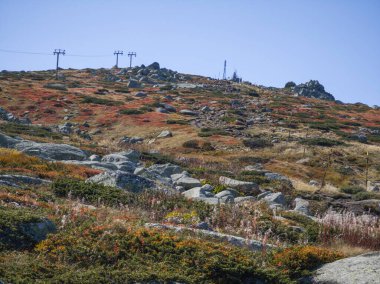 Bulgaristan 'ın Vitosha Dağı' nın şaşırtıcı sonbahar manzarası
