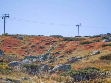 Bulgaristan 'ın Vitosha Dağı' nın şaşırtıcı sonbahar manzarası