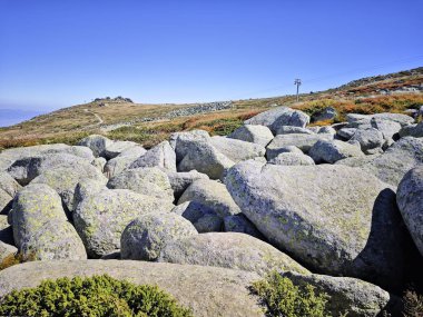 Bulgaristan 'ın Vitosha Dağı' nın şaşırtıcı sonbahar manzarası