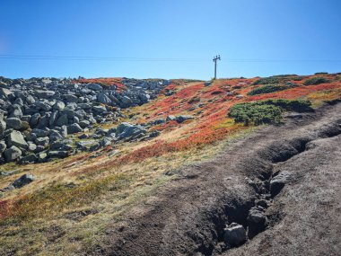 Bulgaristan 'ın Vitosha Dağı' nın şaşırtıcı sonbahar manzarası