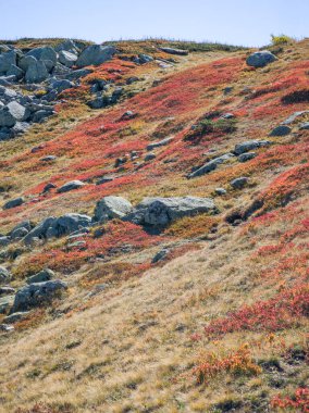 Bulgaristan 'ın Vitosha Dağı' nın şaşırtıcı sonbahar manzarası