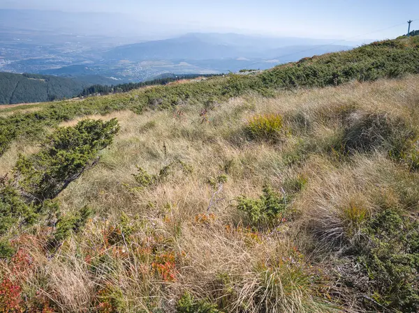 Bulgaristan 'ın Vitosha Dağı' nın şaşırtıcı sonbahar manzarası