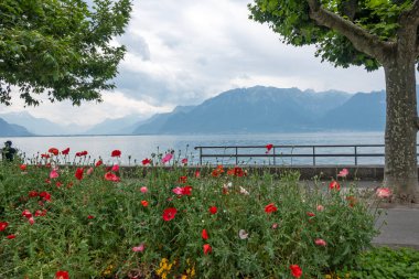 VEVEY, SWitzERLAND 19 Haziran 2023: Vevey, Vaud Kantonu, İsviçre Panorama