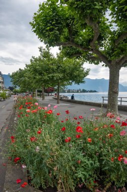 VEVEY, SWitzERLAND 19 Haziran 2023: Vevey, Vaud Kantonu, İsviçre Panorama