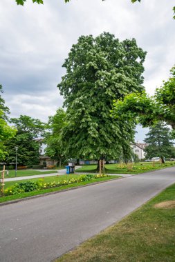 VEVEY, SWitzERLAND 19 Haziran 2023: Vevey, Vaud Kantonu, İsviçre Panorama