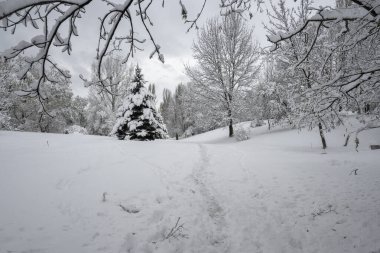 Bulgaristan 'ın Sofya kentindeki South Park' ın şaşırtıcı kış manzarası
