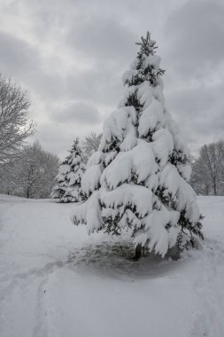 Bulgaristan 'ın Sofya kentindeki South Park' ın şaşırtıcı kış manzarası