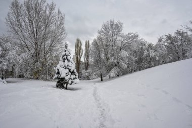 Bulgaristan 'ın Sofya kentindeki South Park' ın şaşırtıcı kış manzarası